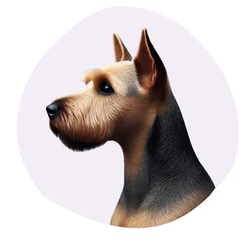 Westphalia Terrier